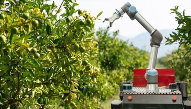 Roboter in der Lebensmittelindustrie Ein Aufwärtstrend affiliate-zentrum.de